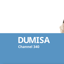 Dumisa tv